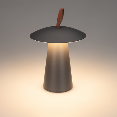 751021b8e6293d4ecc47a198cf535dbe